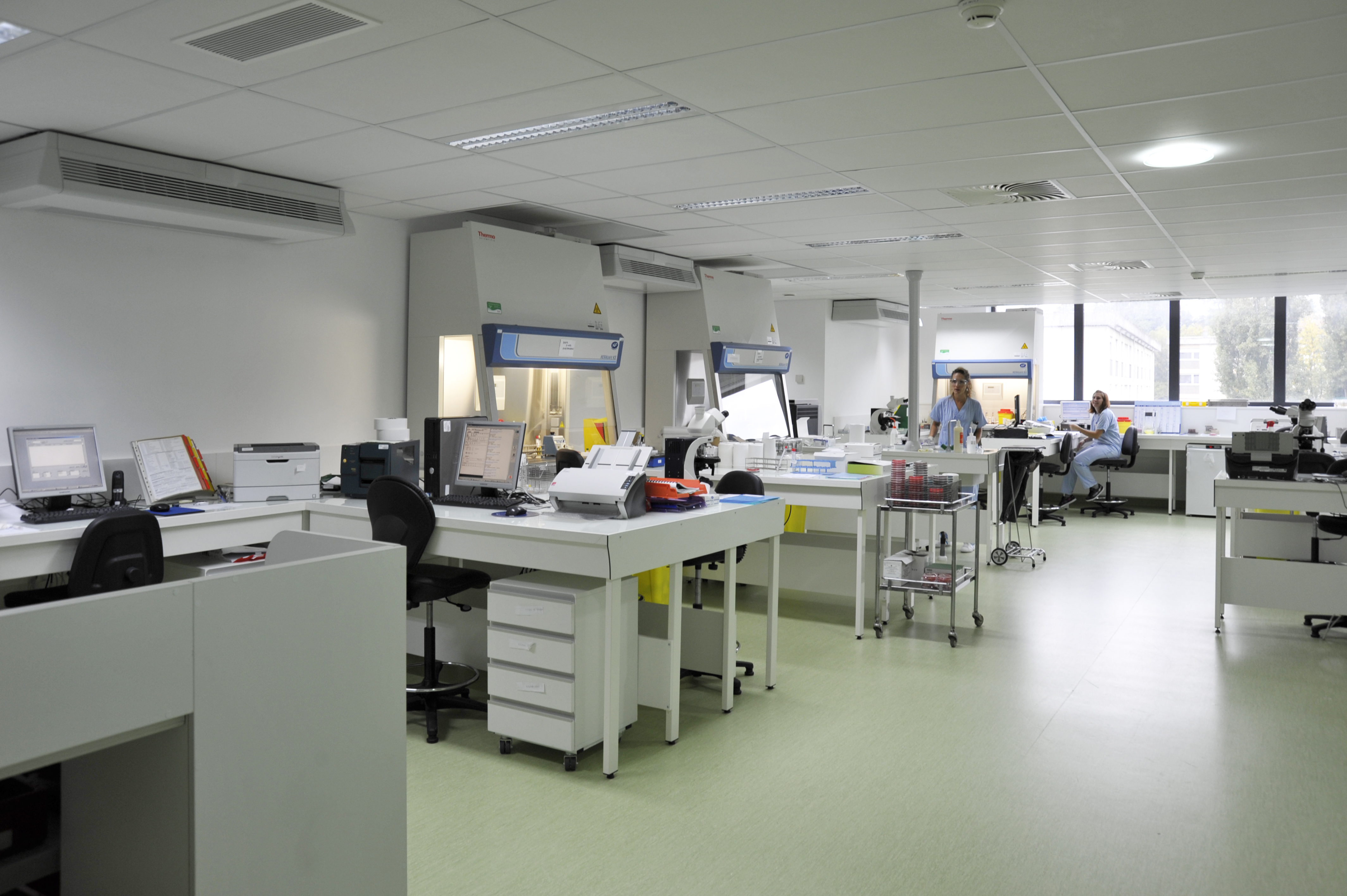 Laboratoire De Microbiologie Biologie De La Reproduction Laboratoire De Microbiologie Biologie De La Reproduction