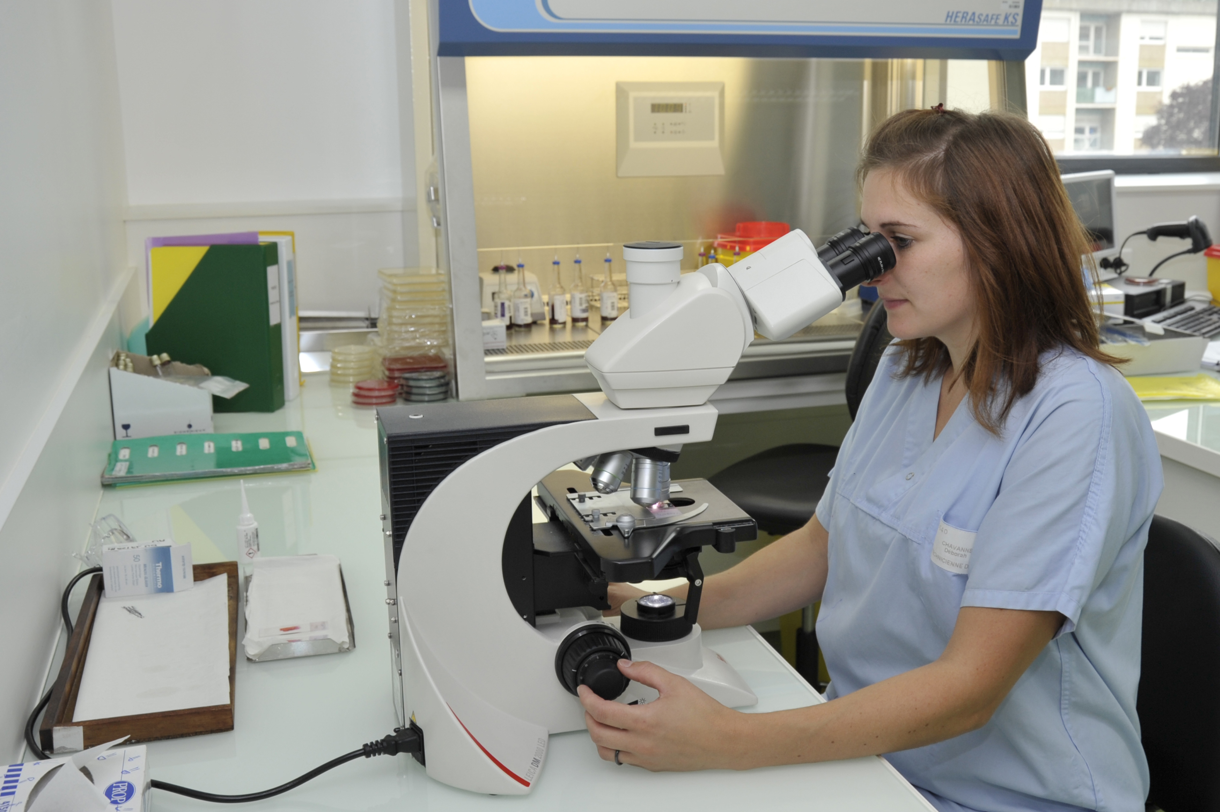 Laboratoire De Microbiologie Biologie De La Reproduction Laboratoire De Microbiologie Biologie De La Reproduction